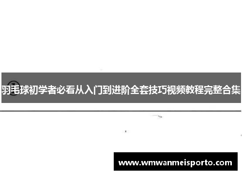 羽毛球初学者必看从入门到进阶全套技巧视频教程完整合集